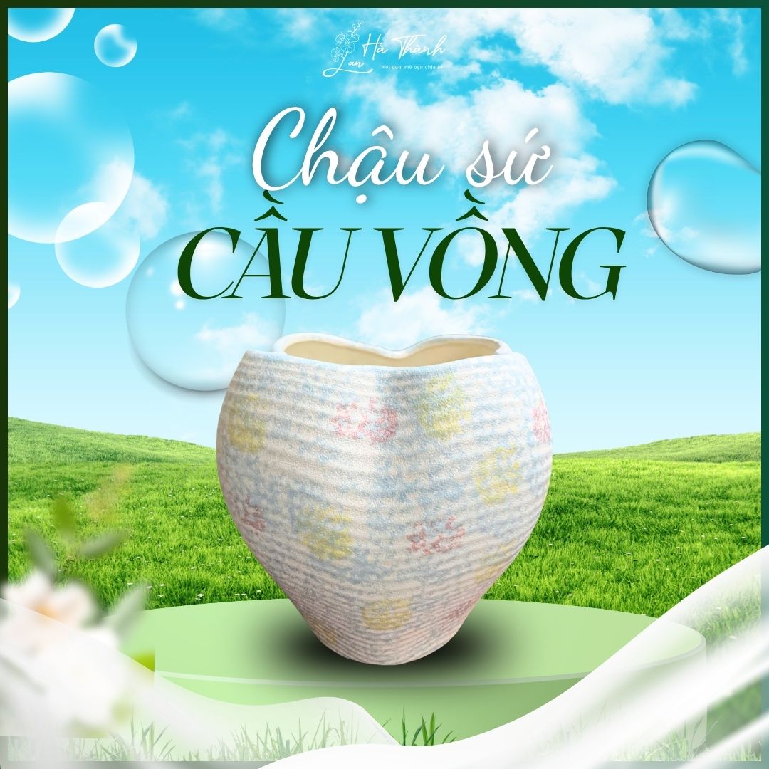 Chậu Sứ Cầu Vồng
